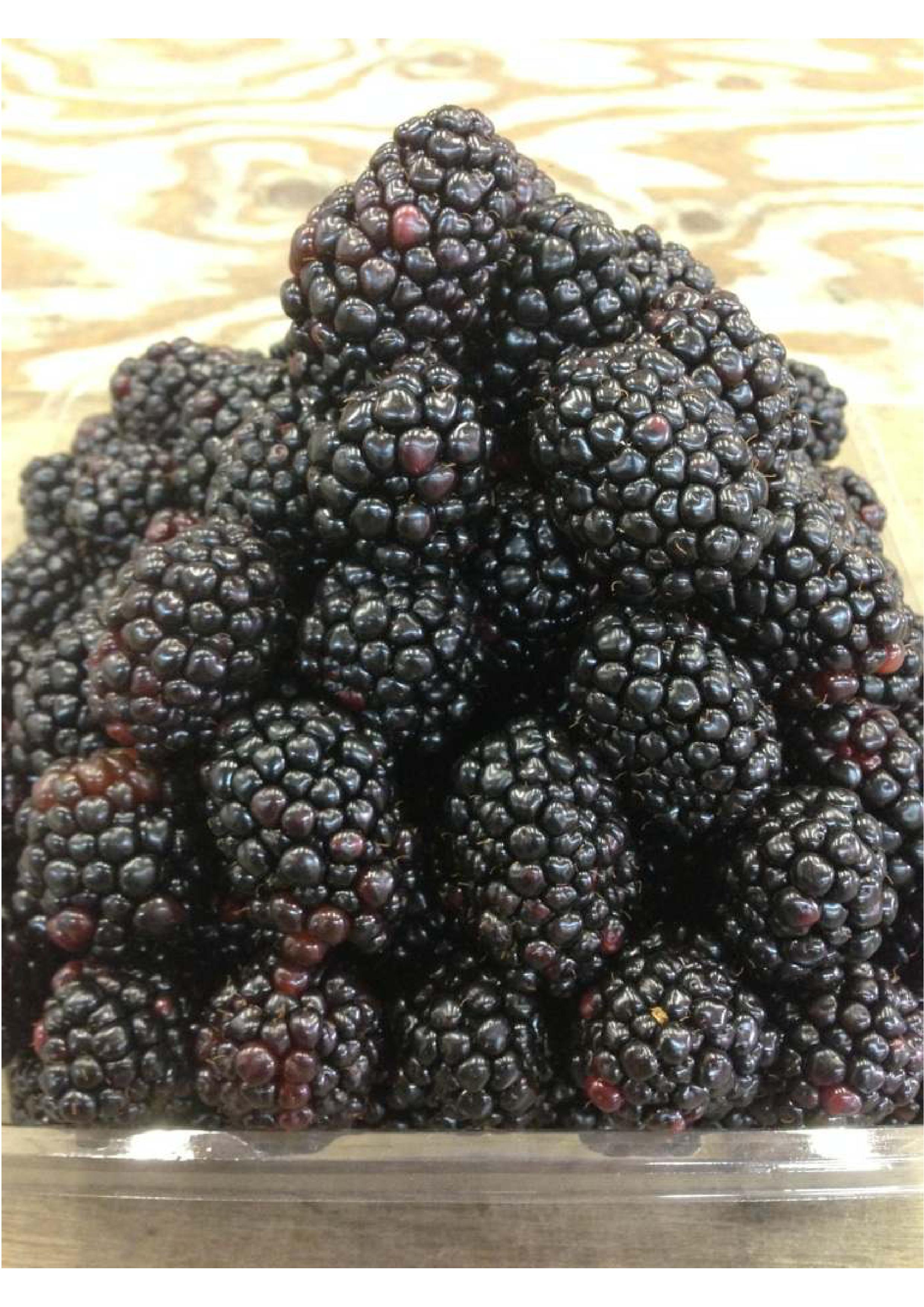 ブラックベリー - カカオニブ専門店 スーパーフーズトレーディング公式